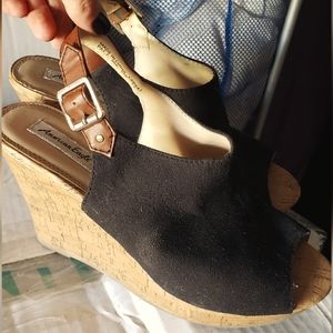 American Eagle Wedges
